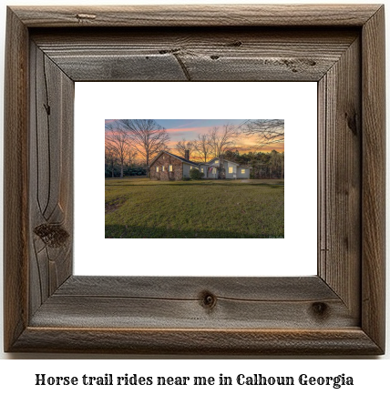 horse trail rides near me in Calhoun, Georgia